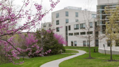 Duke General Management Program