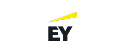 company logo EY