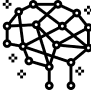 program