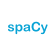 SpaCy tools-icon
