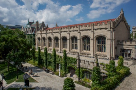 AI Transformation and Leadership