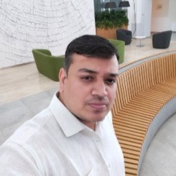  Rajib Kumar Singh  - Mentor